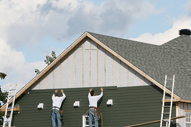 Best Brick Veneer Siding  in Brownsville, LA